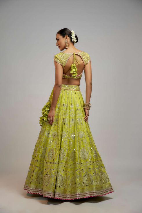 Golconda Nayla Lehenga set
